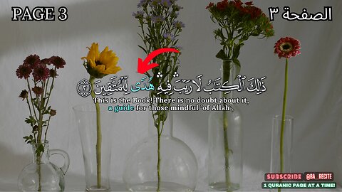 Quran Page: 3 :القرآن الكريم الصفحة #beautifulquran #اكسبلور #قران_كريم# #BA_Recite