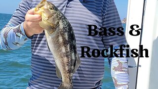 HURRICANE HILARY Calico Bass and Rockfish Fishing