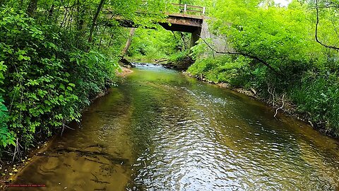 Trout and Bass Fishing with Spinners