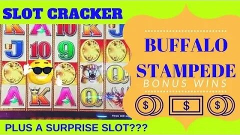 💥Buffalo Stampede WIN! + Surprise Slot Machine!💥