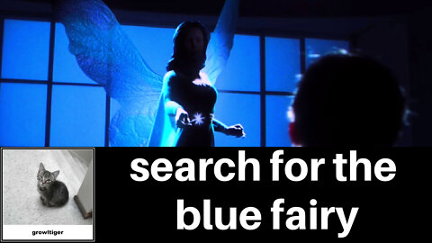 Search for the Blue Fairy