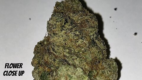 Tropical Diesel From Radar Breeder