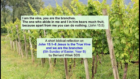 John 15:1–8 Jesus is the True Vine and we are the branches