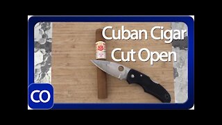 Cuban Hoyo De Monterrey Epicure No 1 Cut Open Real Or Fake