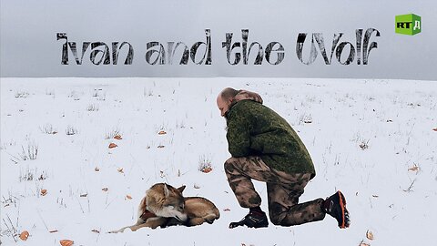 Ivan and the Wolf | RT Documentary