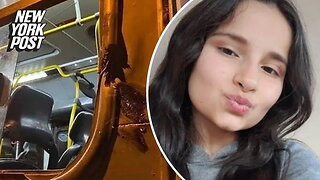 Girl on school bus dies while waving to friends as head collides with pole