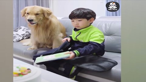 intelligent dog with cute boy of korian