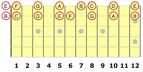 The 1st String for the Guitar Student