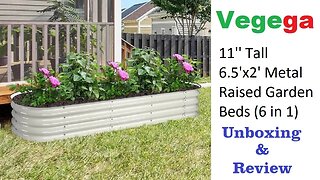 VEGEGA 11'' Tall 6.5'x2' Metal Raised Garden Beds (6 in 1) Product Review | Heirloom Reviews