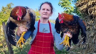 Cooking Chicken in the Village of Albania | Village Lifestyle of Albania