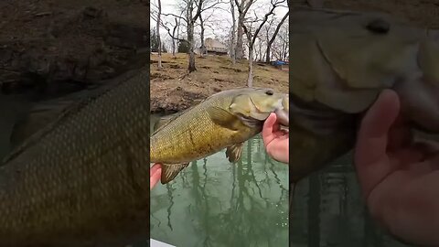 SNEAKY Homemade Ned Bait Catches BIG Smallmouth