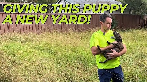 This Puppy gets a Free Yard Clean up!