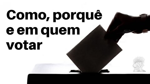 Como, porquê e em quem votar