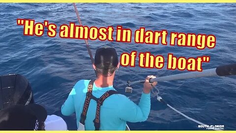 A Daytime SWORDFISHING Heartbreak! + Giveaway WINNER Picked