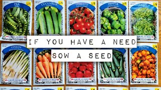 If you have a need sow a seed