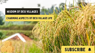 Wisdom of Desi Villages: Charming Aspects of Desi Village Life | Village Vibes