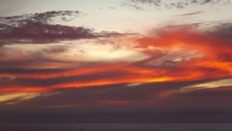 Half Moon Bay Sunset and Wild Rape Flower Blossom.