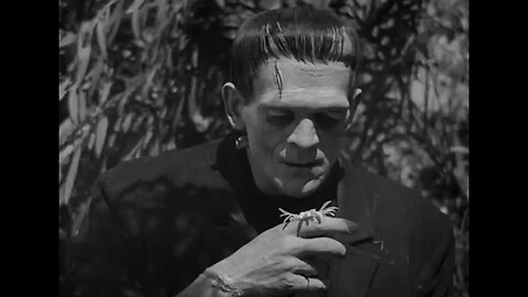 Cinematic Fantastic #008 - Frankenstein (1931)