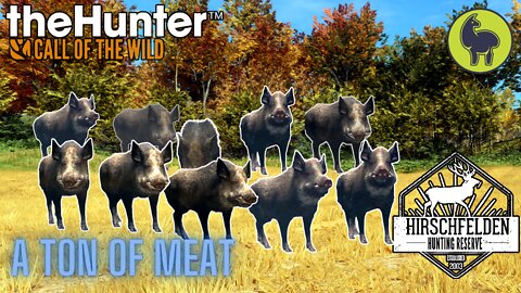 The Hunter: Call of the Wild, Tressler- A Ton of Meat, Hirschfelden (PS5 4K)