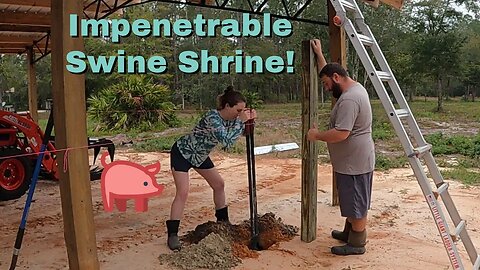 Finishing touches on the Swine Shrine | Installing hog panels and 4x6 post to nail them to.
