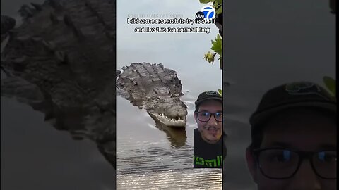 Crocodile cough???