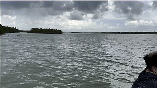 Boat Rides in Paradise - Kice Island to Goodland, FL #Goodland #KiceIsland #Shelling #Boating #4K