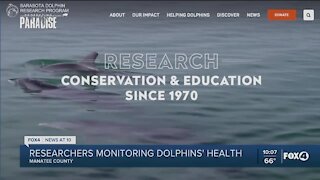 Chicago Zoological Society’s Sarasota Dolphin Research Program Monitoring Piney Point Effects