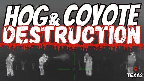 Thermal Hog & Coyote Hunt | Destruction