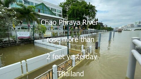 Chao Phraya river in Bangkok rose more than 2 feet yesterday in Thailand