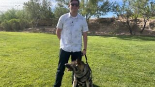 Las Vegas veteran reunites with military dog