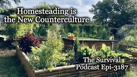 Homesteading is the New Counter Culture - 3187