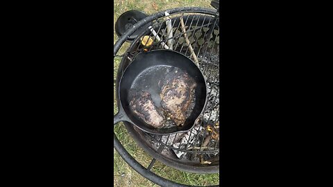 Beautiful camp steaks