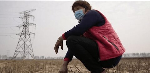 China Hoards Half of World Grain Reserve, Prepares for ‘Famine’