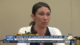 Parents testify about hit and run crash
