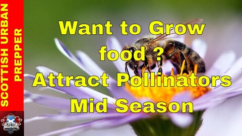 Prepping Mid Season Pollinators Prepare you Garden for Success