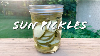 FOODIE || Farm-To-Table: Sun Pickles (2022)