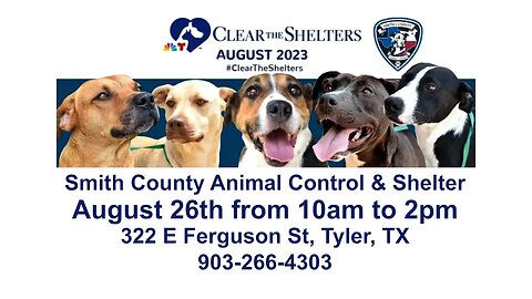 Paw Pals TV: Amber Greene, "Clear the Shelter" at the Smith County Animal Shelter on Sat 8.26.23