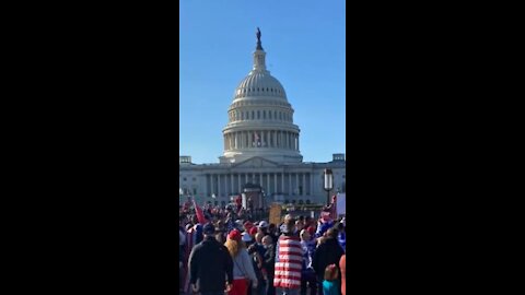 Million MAGA March to Stop the Steal