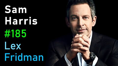 Sam Harris- Consciousness, Free Will, Psychedelics, AI, UFOs, and Meaning - Lex Fridman Podcast #185