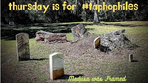 #taphophile Thursday! Some cemeteries along the St John's River