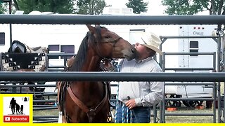 Wild Mustang Training Demonstration #2