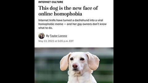 Homophobic Dog by Taylor Lorenz
