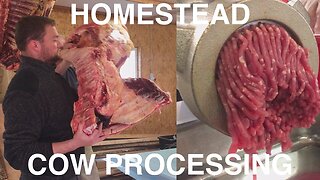 Homestead Cow Processing