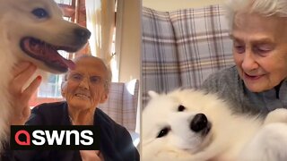 Heartwarming reaction as care home residents enjoy visit from therapy dogs