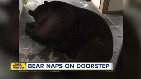 Photo shows bear laying at homeowner's doorstep