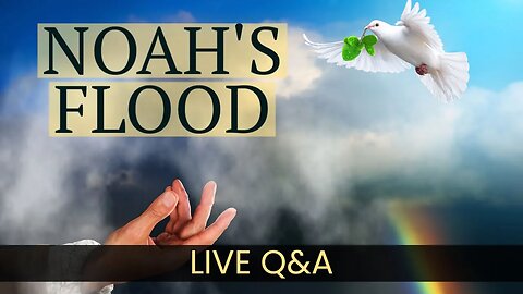 Noah's Flood - Bible Story Reading and LIVE Discussion