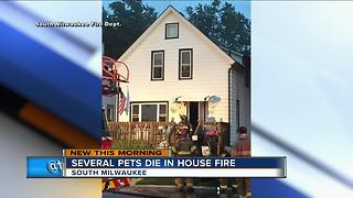 Several pets die in house fire in South Milwaukee fire