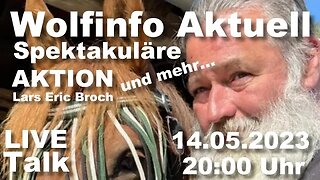 Wolfinfo Aktuell LIVE TALK 28 ( Spektakuläre Aktion und mehr... )