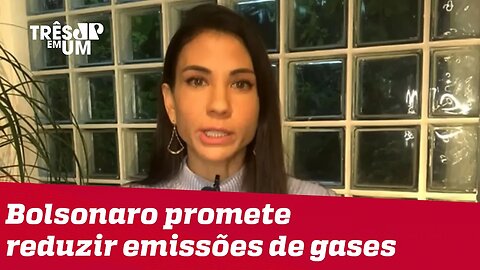 Amanda Klein: Não há uma política pública que vá na direção de cumprir as metas de Bolsonaro
