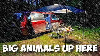 Solo Car Camping with Rain, I got Scared